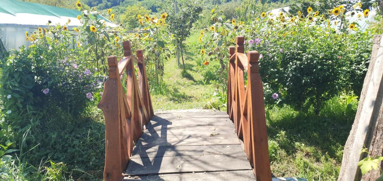 Bed and Breakfast Balla House Tarcaia Экстерьер фото